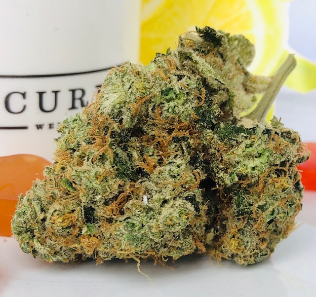 Close-up cannabis bud with orange pistils