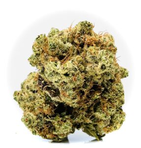 gorgeous bud of afghani hms