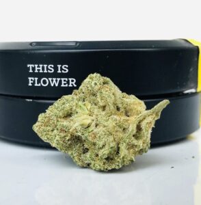 bud of white mac by strane in front of this is flower label