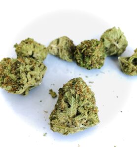 pineapple kush buds by hms