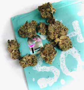wide angle shot of the soap buds on cookies turquoise colored ziplock baggie