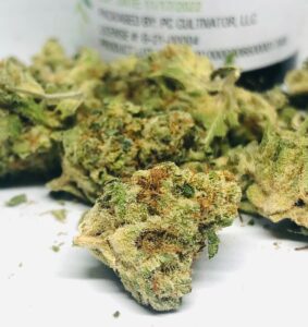 close detailed image of amber pistols on yeti og strain bud